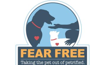 Embracing a Fear Free Future: Revolutionizing Veterinary Care for Pets