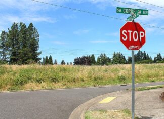 LUBA rules in favor of King City over Kingston Terrace development