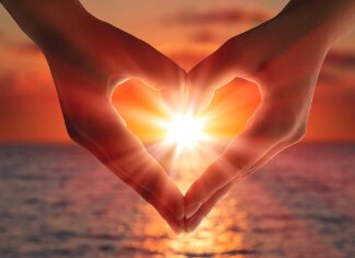 Our Heart vs Stress Unchecked