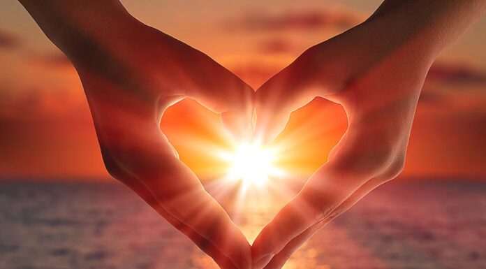 Our Heart vs Stress Unchecked