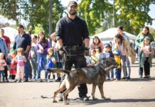 Public Safety Levy Renewal set for May Ballot