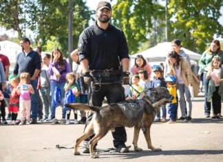 Public Safety Levy Renewal set for May Ballot