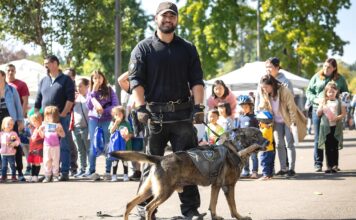 Public Safety Levy Renewal set for May Ballot