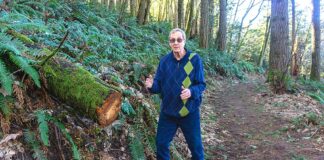 Weber’s Canyon Opens Hidden Delights for Neighborhood Hikers