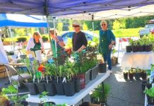 Tigard Garden Club’s Annual Plant Sale Returns