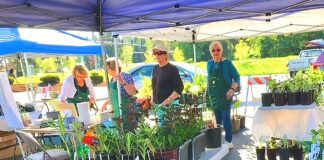 Tigard Garden Club’s Annual Plant Sale Returns