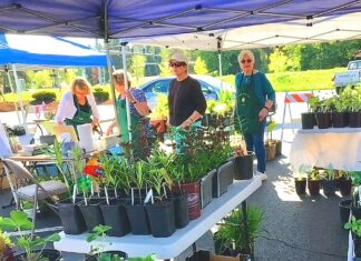 Tigard Garden Club’s Annual Plant Sale Returns
