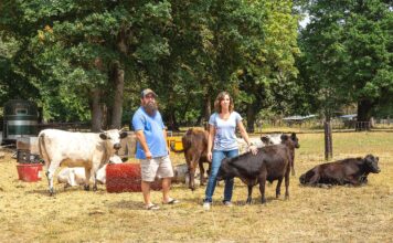 Local Family Farm Brings Thoughtfully-raised Meat from the Pasture to the Plate