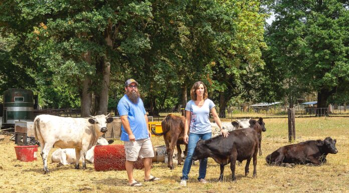 Local Family Farm Brings Thoughtfully-raised Meat from the Pasture to the Plate