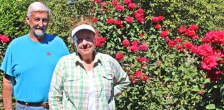 Tigard Couple views world through rose-colored glasses