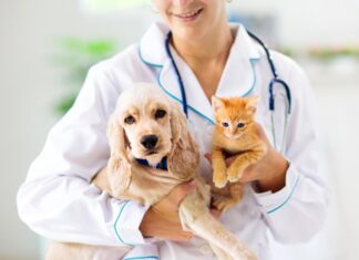 The Lifelong Benefits of Preventative Medicine and Annual Exams for Your Pet