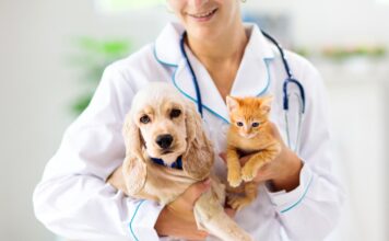 The Lifelong Benefits of Preventative Medicine and Annual Exams for Your Pet