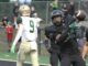 Young Tigard football team drops season’s first two games