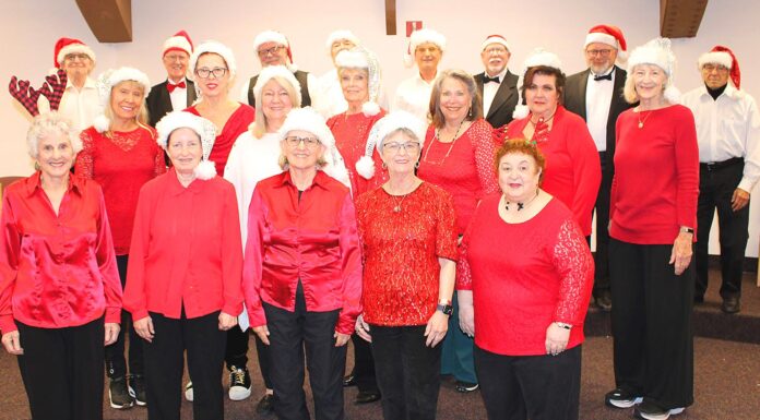 New NW Senior Theatre holiday show is on the way