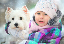 Cold Weather, Cozy Pets