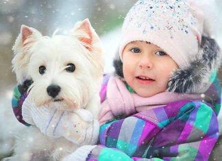 Cold Weather, Cozy Pets