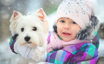 Cold Weather, Cozy Pets