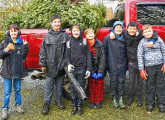 Recycle Your Holiday Tree with Scouts!