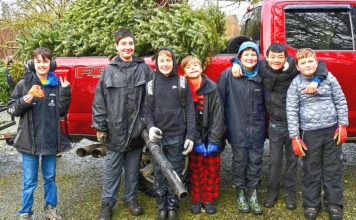 Recycle Your Holiday Tree with Scouts!