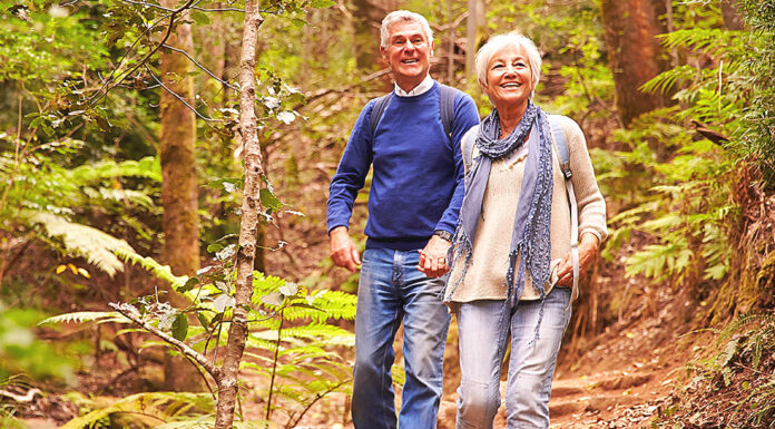 The Healing Power of Nature