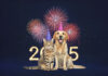 New Year, Healthy Pets:Setting Goals for Your Furry Companions