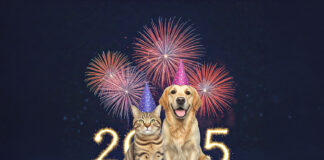 New Year, Healthy Pets:Setting Goals for Your Furry Companions