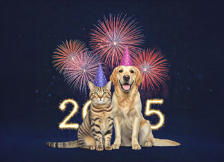 New Year, Healthy Pets:Setting Goals for Your Furry Companions