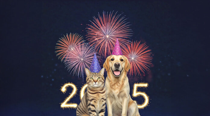 New Year, Healthy Pets:Setting Goals for Your Furry Companions