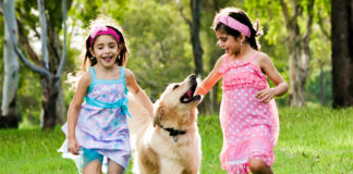 The Remarkable Power of the Human-Animal Bond