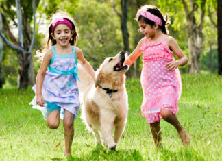 The Remarkable Power of the Human-Animal Bond