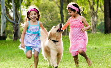 The Remarkable Power of the Human-Animal Bond