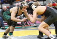 Other Tigard wrestlers compete in state championship tournament