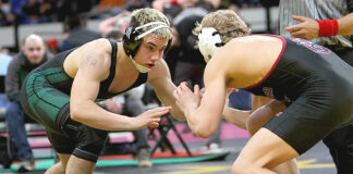 Other Tigard wrestlers compete in state championship tournament