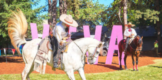 Tualatin Comes Alive at ¡Viva Tualatin! A Festival of Culture, Food, and Fun