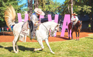 Tualatin Comes Alive at ¡Viva Tualatin! A Festival of Culture, Food, and Fun