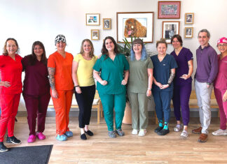 Who Owns Your Vet Clinic?