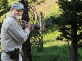 Tigard Photographer opens Window on Wildlife