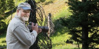 Tigard Photographer opens Window on Wildlife