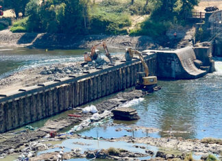 Southern Oregon dam operators face intensifying legal battles after 2023 lamprey killing The 135-year-old Winchester Dam near Roseburg underwent repairs from August to early September 2023 that led to water contamination and the death of more than half-a-million Pacific lamprey. State agencies have fined the dam operators tens of millions of dollars, which the operators are attempting to appeal (Photo by Kirk Blaine/Native Fish Society)