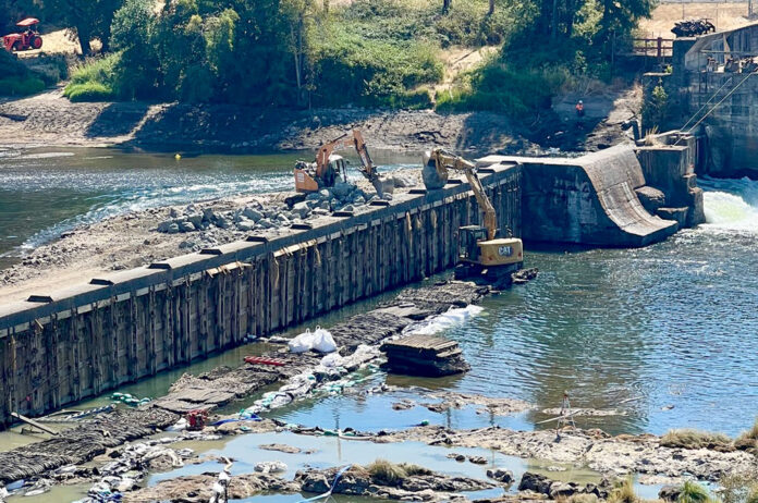 winchester-dam-construction The 135-year-old Winchester Dam near Roseburg underwent repairs from August to early September 2023 that led to water contamination and the death of more than half-a-million Pacific lamprey. State agencies have fined the dam operators tens of millions of dollars, which the operators are attempting to appeal (Photo by Kirk Blaine/Native Fish Society)