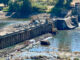 Southern Oregon dam operators face intensifying legal battles after 2023 lamprey killing The 135-year-old Winchester Dam near Roseburg underwent repairs from August to early September 2023 that led to water contamination and the death of more than half-a-million Pacific lamprey. State agencies have fined the dam operators tens of millions of dollars, which the operators are attempting to appeal (Photo by Kirk Blaine/Native Fish Society)