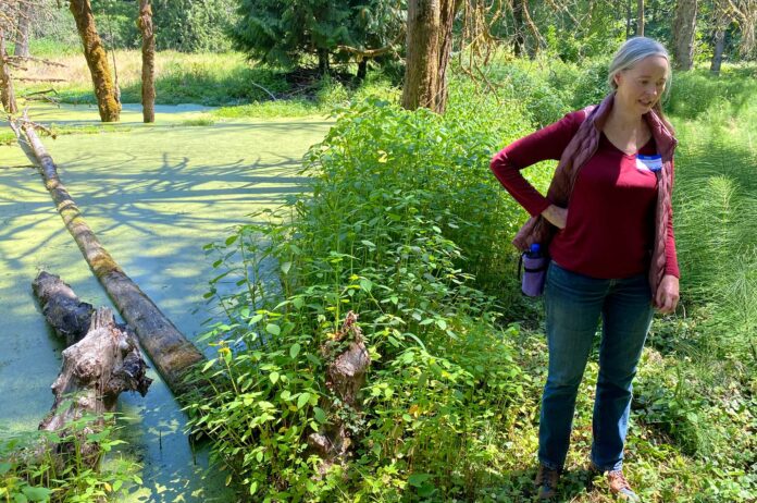Carla Bankston standing near a pond covered in green duckweed on the conserved 13-acre wildlife preserve in Tigard.