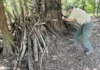 Ranger Jordan ‘asks nicely’ in Tigard park rounds Tigard Park Ranger Jordan Porter recently documents a structure made of wood branches around the trunk of a Douglas fir tree. It was not immediately clear whether kids set up the structure as a play fort or others tried to use it as a camp shelter.