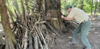Ranger Jordan ‘asks nicely’ in Tigard park rounds Tigard Park Ranger Jordan Porter recently documents a structure made of wood branches around the trunk of a Douglas fir tree. It was not immediately clear whether kids set up the structure as a play fort or others tried to use it as a camp shelter.
