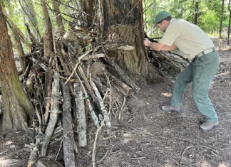 Ranger Jordan ‘asks nicely’ in Tigard park rounds Tigard Park Ranger Jordan Porter recently documents a structure made of wood branches around the trunk of a Douglas fir tree. It was not immediately clear whether kids set up the structure as a play fort or others tried to use it as a camp shelter.