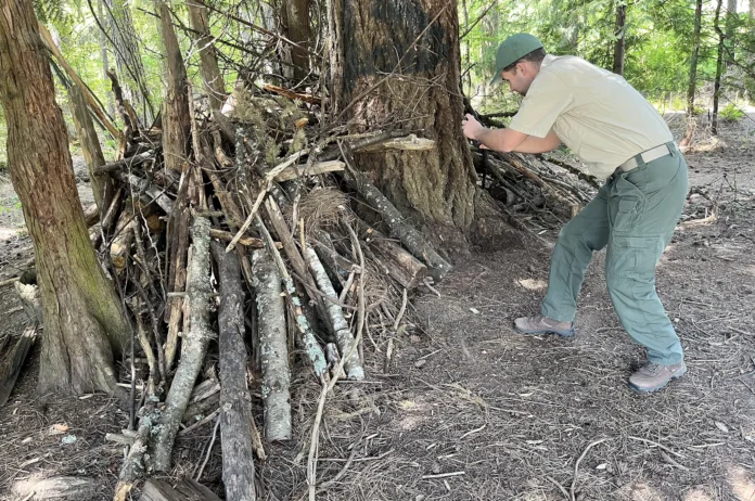 Tigard Park Ranger Jordan Porter recently documents a structure made of wood branches around the trunk of a Douglas fir tree. It was not immediately clear whether kids set up the structure as a play fort or others tried to use it as a camp shelter.