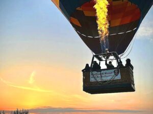Portland Rose Balloon