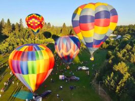 Tigard Festival of Balloons Returns June 26–28 with Theme “Growing Our Legacy” Hot air balloons in the sky at Tigard Festival of Balloons