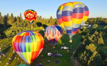 Tigard Festival of Balloons Returns June 26–28 with Theme “Growing Our Legacy” Hot air balloons in the sky at Tigard Festival of Balloons