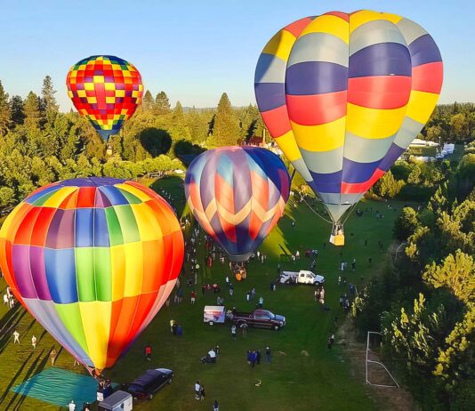 Tigard Festival of Balloons Returns June 26–28 with Theme “Growing Our Legacy” Hot air balloons in the sky at Tigard Festival of Balloons